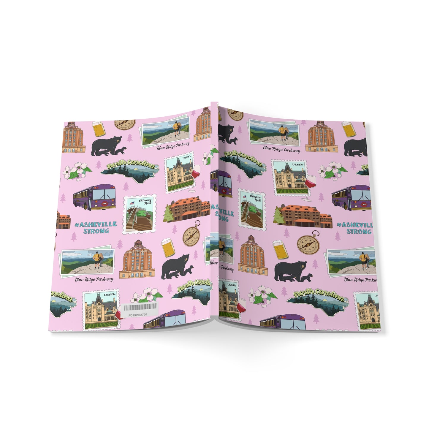Paperback notebook with Asheville, North Carolina NC landmarks in pink 150 lined pages