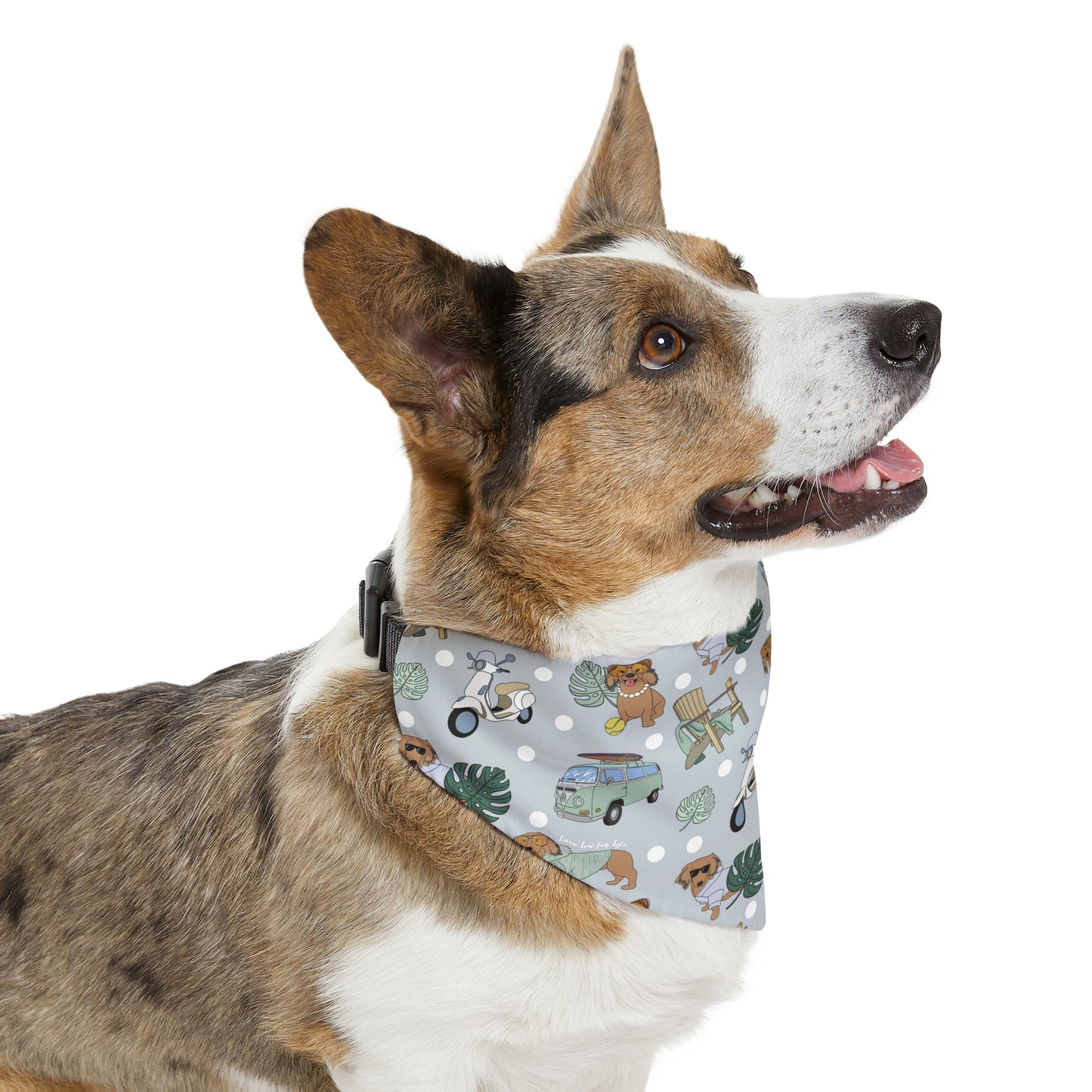 Pet Bandana Collar