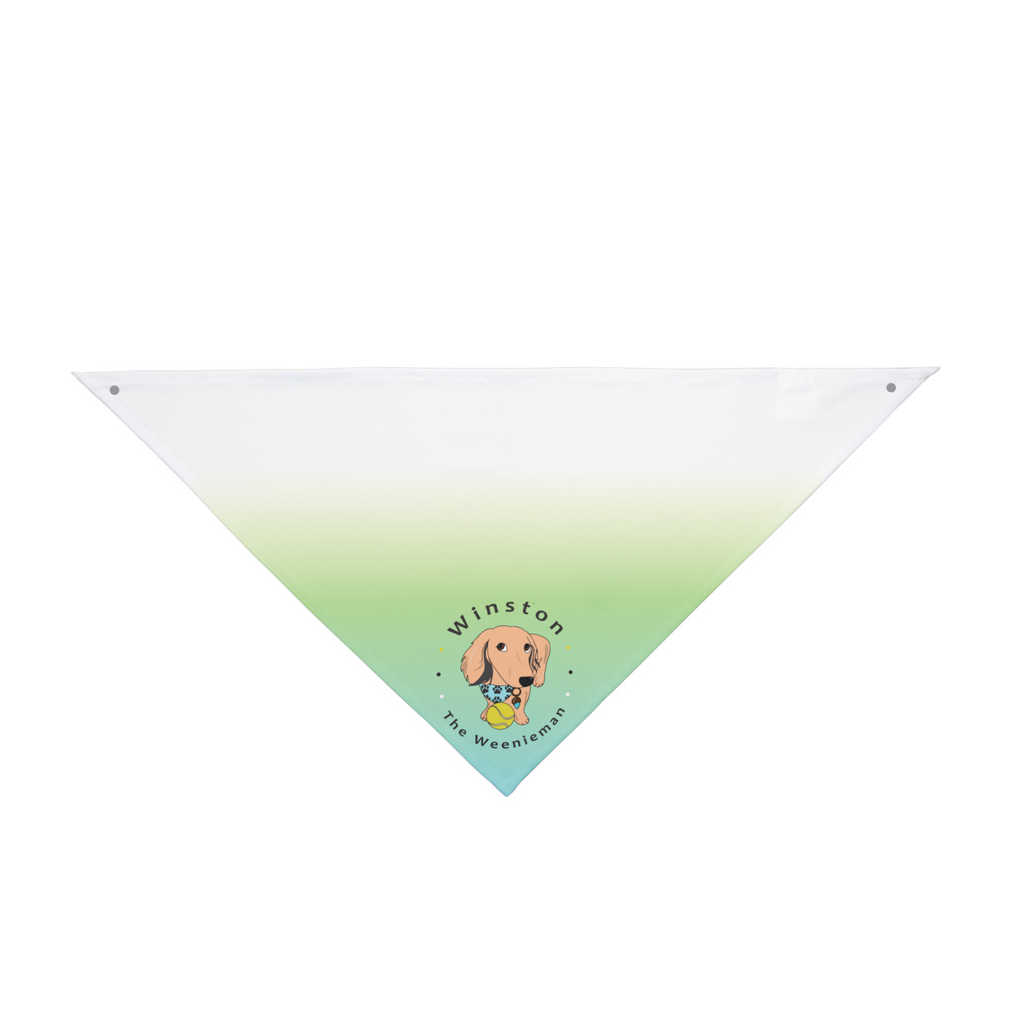 BUNDLE! Winston The Weenieman Set of 4: Bandana, Mug, Sleep mask & Magnet