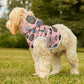 Pet Hoodie with Tallahassee Florida landmarks in pink