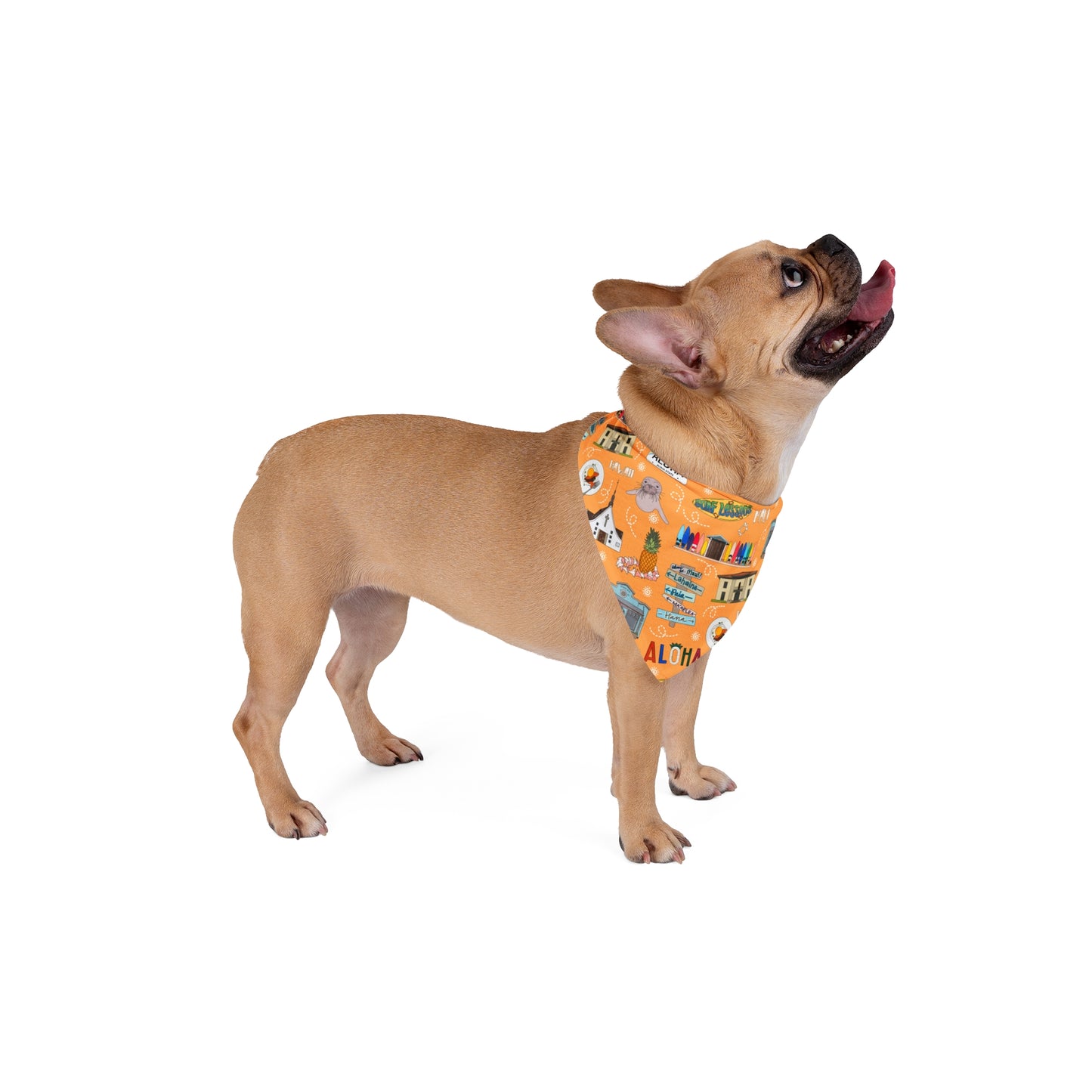 Pet Bandana with Maui, HI in orange