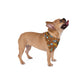 Pet Bandana with New Jersey in brown