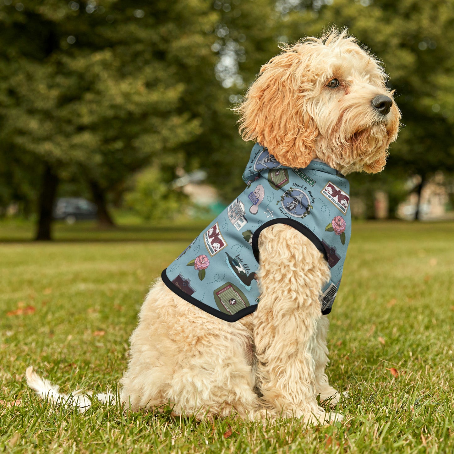 Pet Hoodie with Tallahassee Florida landmarks in blue