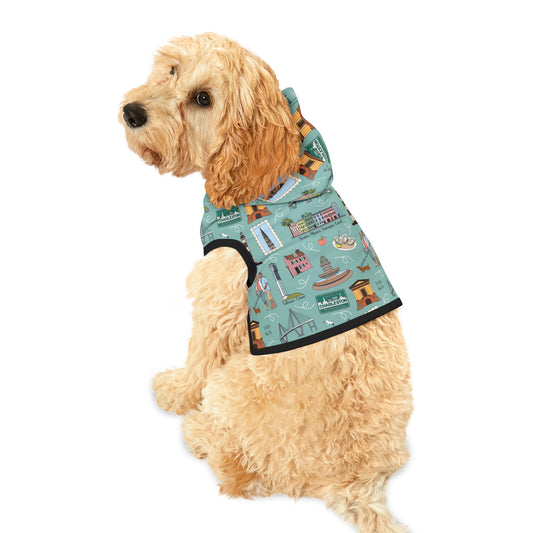 Pet Hoodie with Charleston SC landmarks in sage