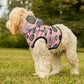 Pet Hoodie with Tallahassee Florida landmarks in pink