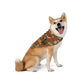 Pet Bandana with New Jersey in brown