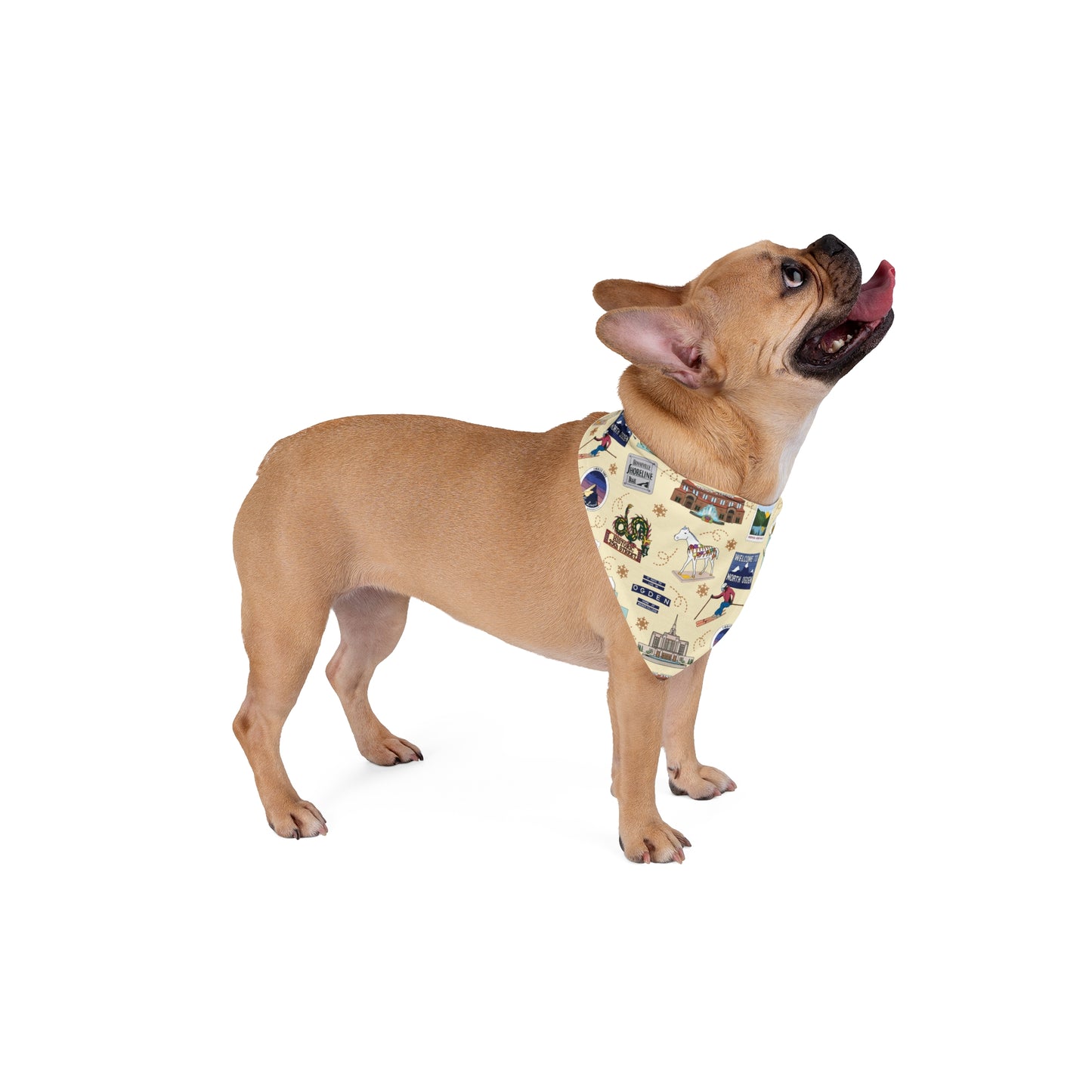 Pet Bandana with Ogden, UT in cream