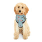 Pet Hoodie with Tallahassee Florida landmarks in blue