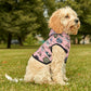 Pet Hoodie with Tallahassee Florida landmarks in pink