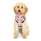 Pet Hoodie with Tallahassee Florida landmarks in pink