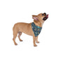 Pet Bandana with Navarre Beach, FL in navy