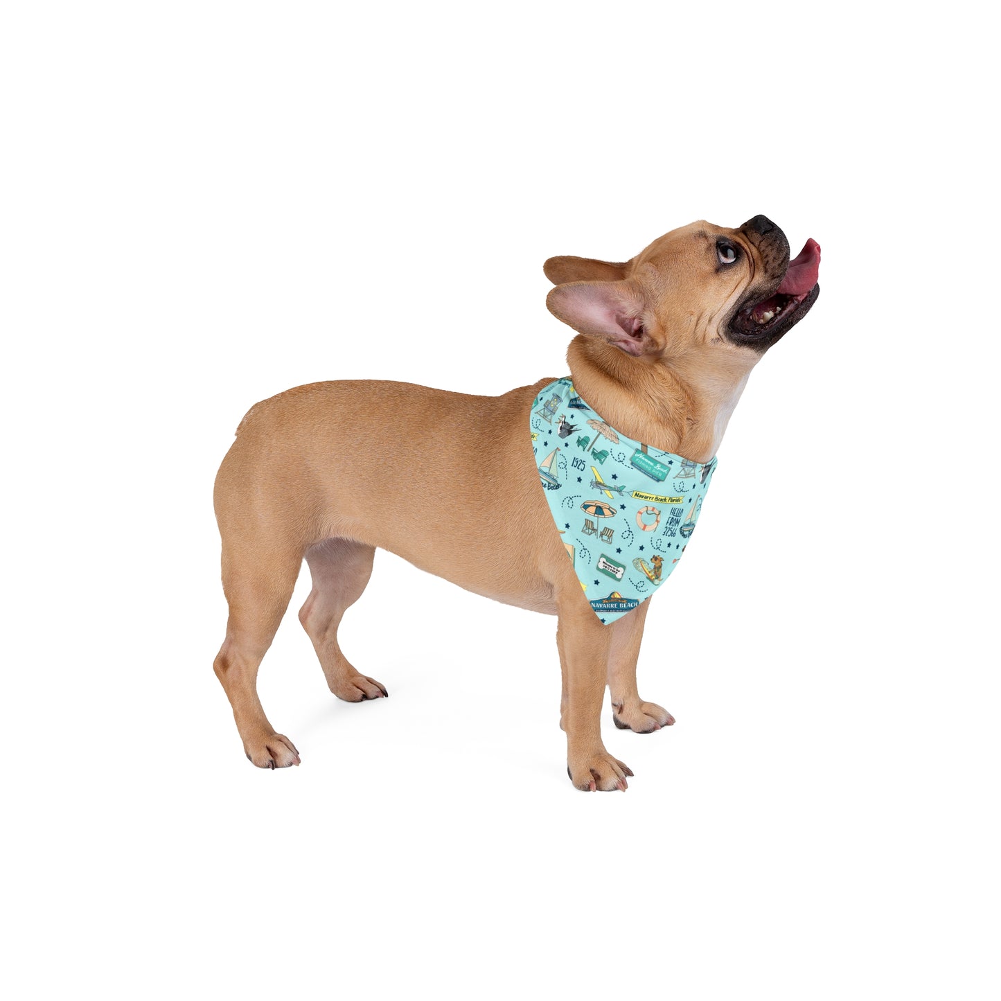 Pet Bandana with Navarre Beach, FL in sky blue