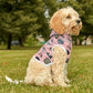 Pet Hoodie with Tallahassee Florida landmarks in pink