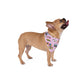 Pet Bandana with Maui, HI in pink