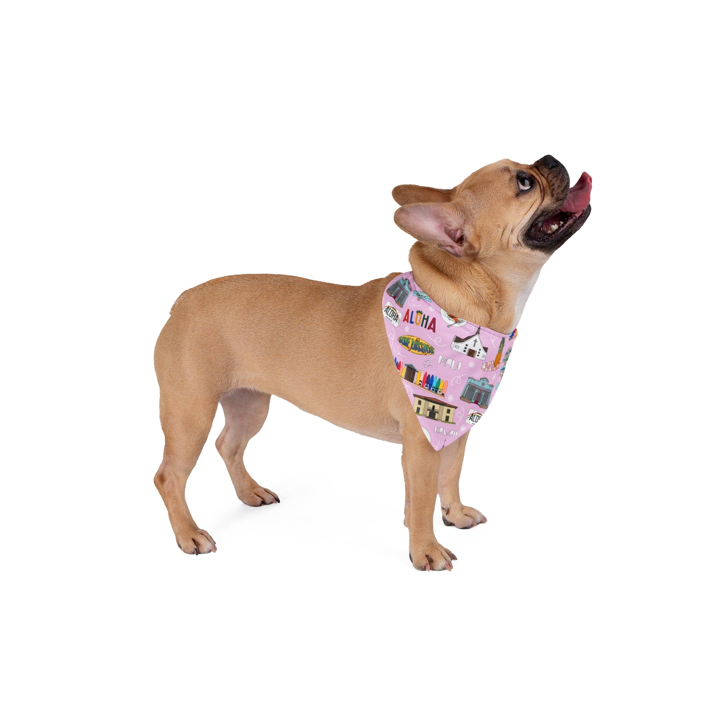 Pet Bandana with Maui, HI in pink