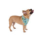 Pet Bandana with Atlanta, GA in turquoise