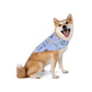 Pet Bandana with 30A, FL in lilac