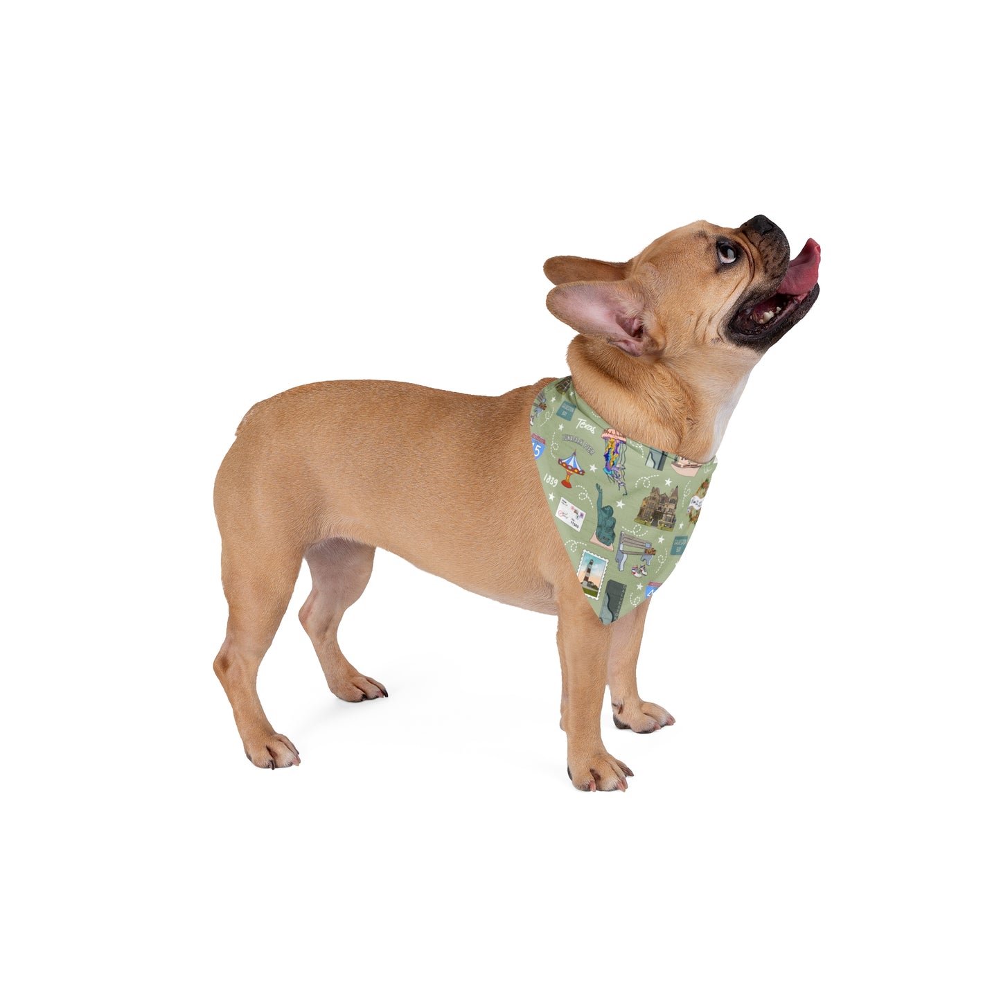 Pet Bandana with Galveston, TX in olive