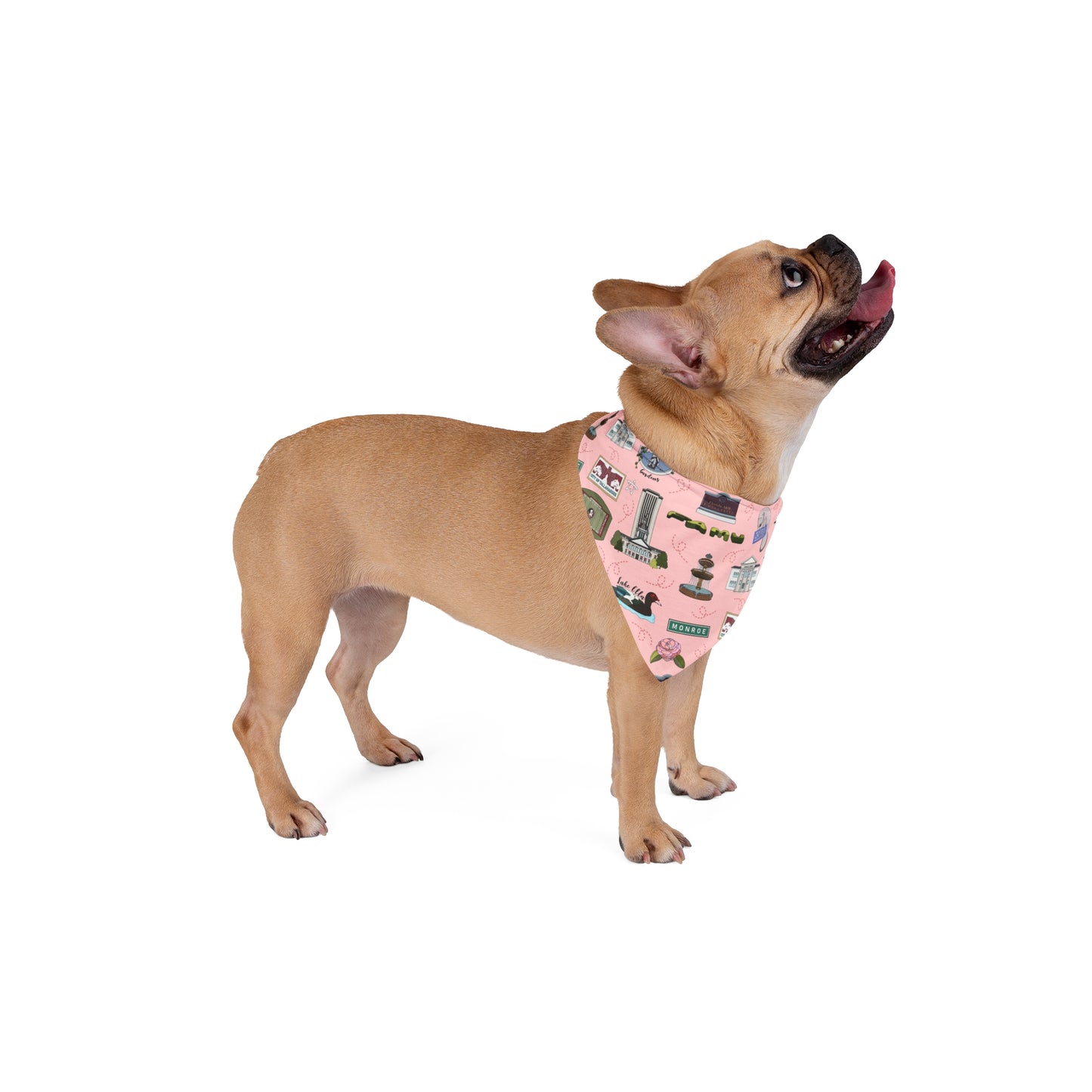 Pet Bandana with Tallahassee, FL in pink