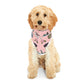 Pet Hoodie with Tallahassee Florida landmarks in pink