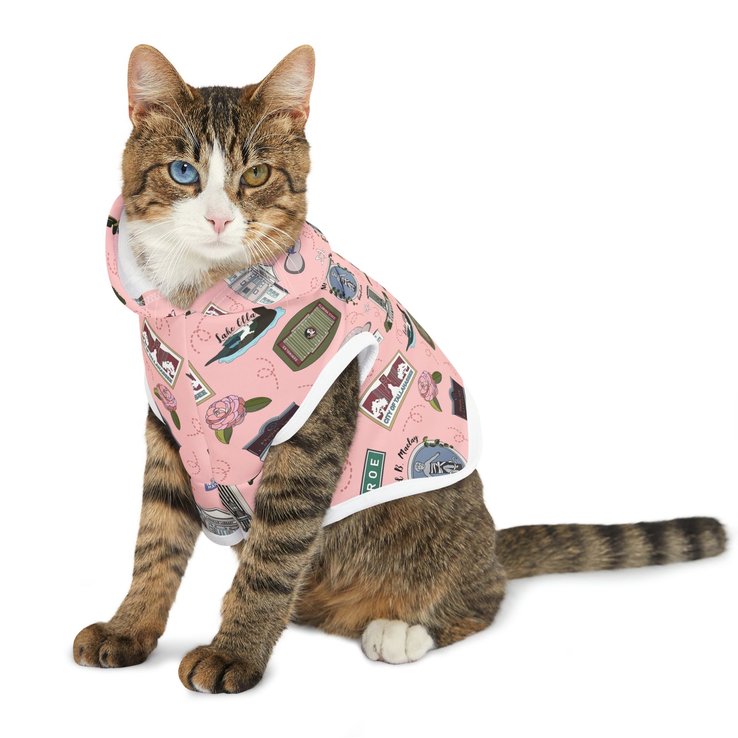 Pet Hoodie with Tallahassee Florida landmarks in pink