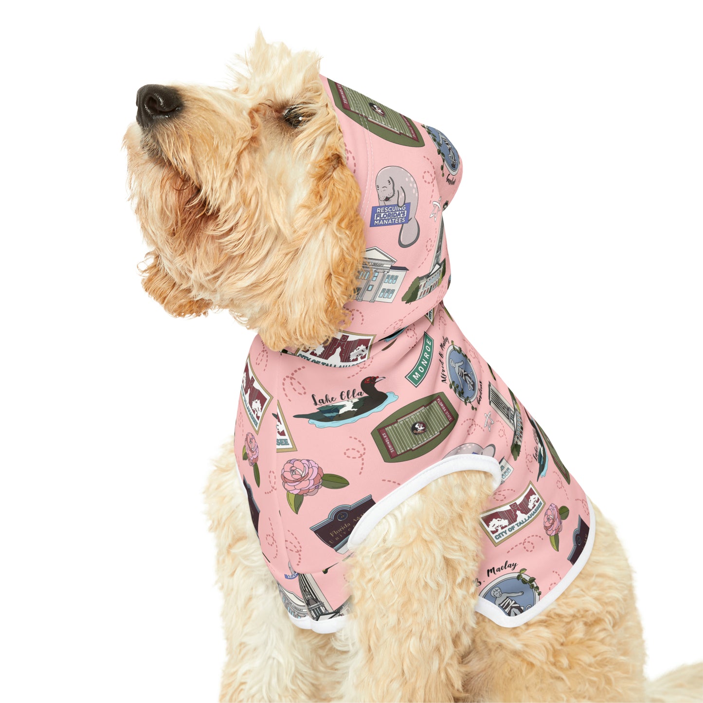 Pet Hoodie with Tallahassee Florida landmarks in pink