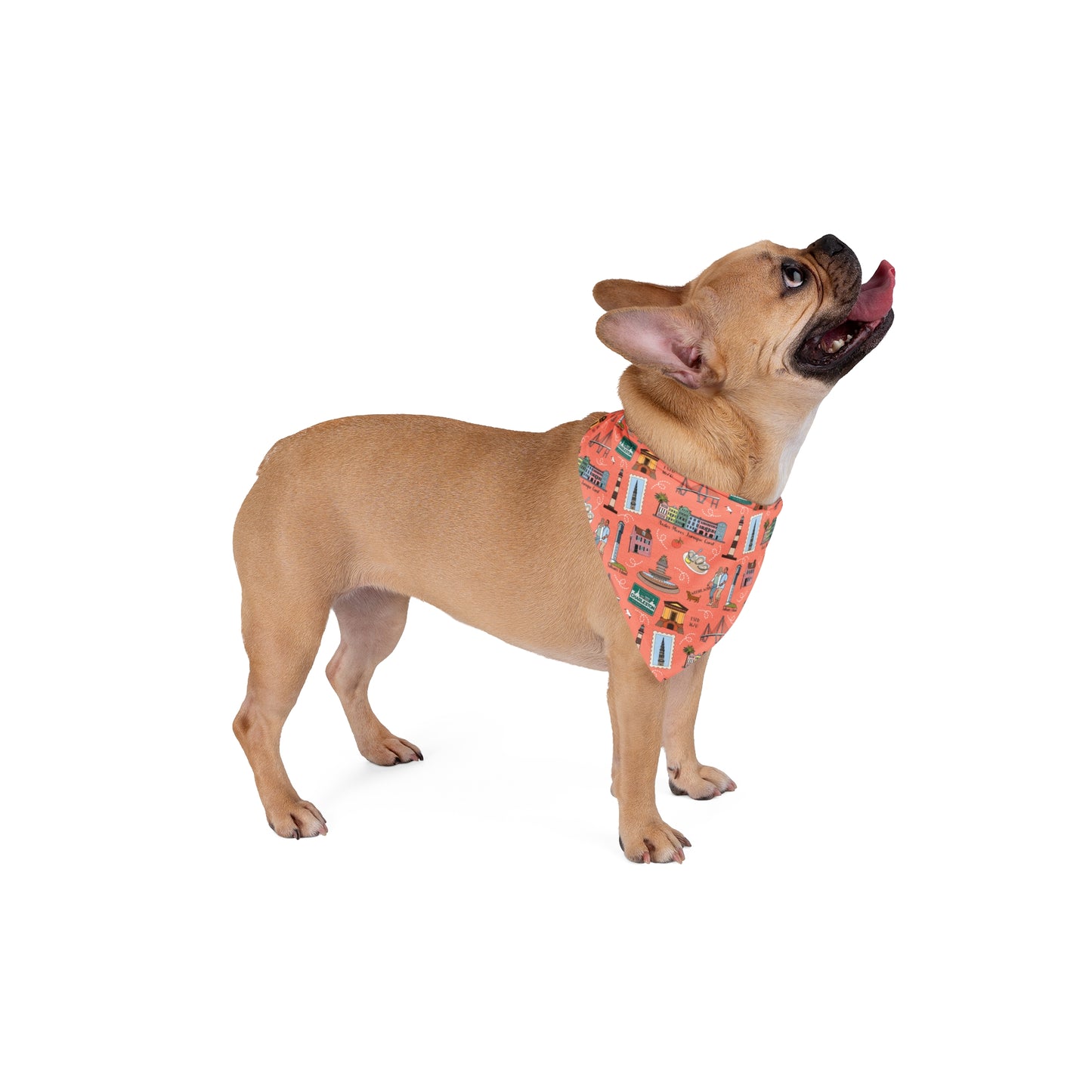 Pet Bandana with Charleston, SC in coral