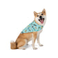 Pet Bandana with Navarre Beach, FL in sky blue