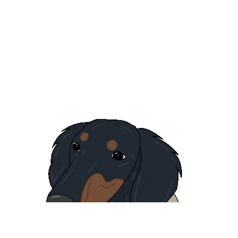 IG Sticker